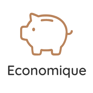 Economique
